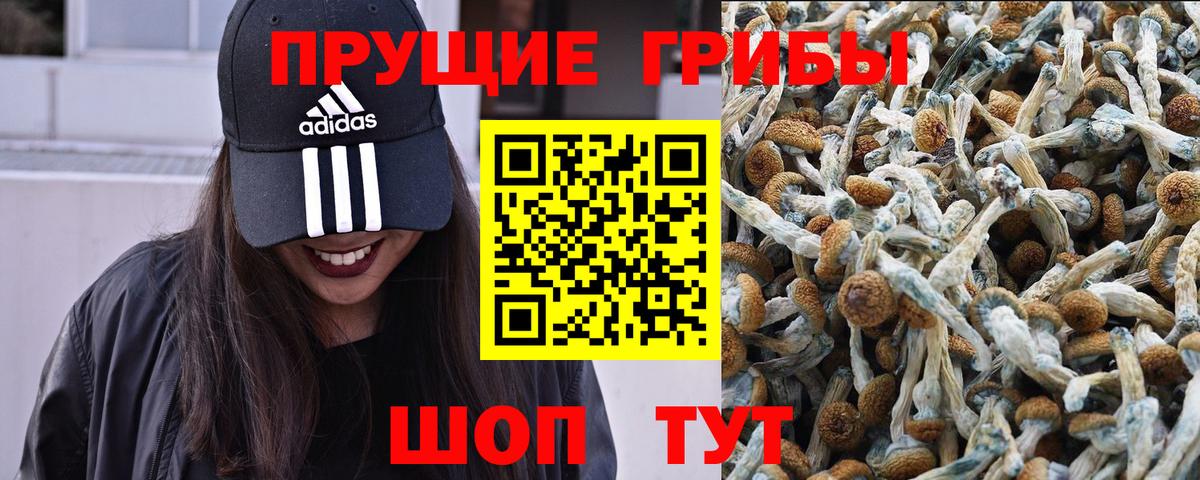 Соль-Илецк  Галлюциногенные грибы Psilocybine cubensis  Галлюциногенные грибы мицелий  Вход с VPN 